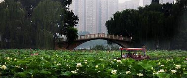 Beijing Zizhuyuan Park